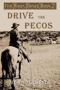 Produktbild: Drive the Pecos