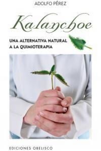 Produktbild: Kalanchoe