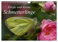 Produktbild: Gro&szlig;e und kleine Schmetterlinge (Wandkalender 2027 DIN A4 quer), CALVENDO Monatskalender