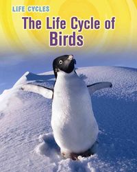 Produktbild: Life Cycle Of Birds