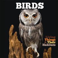 Produktbild: Birds