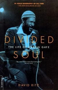 Produktbild: Divided Soul
