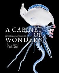 Produktbild: A Cabinet of Wonders
