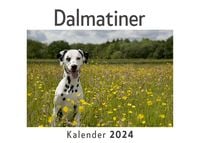 Produktbild: Dalmatiner (Wandkalender 2024, Kalender DIN A4 quer, Monatskalender im Querformat mit Kalendarium, Das perfekte Geschenk)