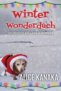 Produktbild: Winter Wonderdach