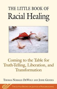 Produktbild: The Little Book of Racial Healing
