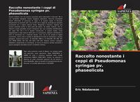 Produktbild: Raccolto nonostante i ceppi di Pseudomonas syringae pv. phaseolicola