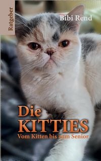 Produktbild: Die Kitties