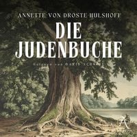 Produktbild: Die Judenbuche H&ouml;rbuch