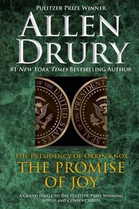 Produktbild: The Promise of Joy