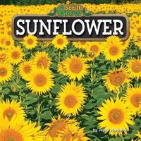 Produktbild: Sunflower