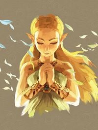 Produktbild: The Legend of Zelda - Breath of the Wild Collector's Edition (L&ouml;sungsbuch)