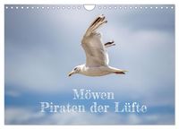 Produktbild: M&ouml;wen Piraten der L&uuml;fte (Wandkalender 2026 DIN A4 quer), CALVENDO Monatskalender