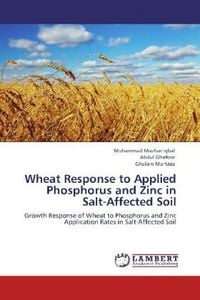 Produktbild: Iqbal, M: Wheat Response to Applied Phosphorus and Zinc in S