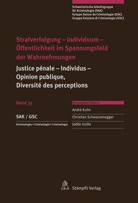 Produktbild: Strafverfolgung - Individuum - &Ouml;ffentlichkeit im Spannungsfeld der Wahrnehmungen