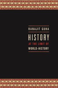 Produktbild: History at the Limit of World-History