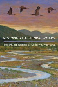 Produktbild: Restoring The Shining Waters