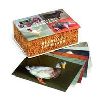 Produktbild: Beautiful Farmyard Postc-100pk