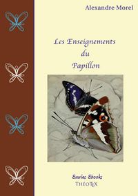 Produktbild: Les Enseignements du Papillon