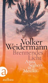 Bild vom Artikel Brennendes Licht vom Autor Volker Weidermann