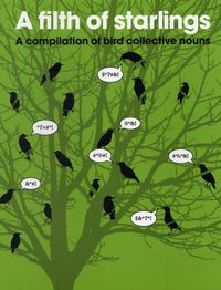 Produktbild: PatrickGeorge: Filth of Starlings: A Compilation of Bird Col