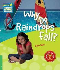 Produktbild: Why Do Raindrops Fall Level 3