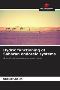 Produktbild: Hydric functioning of Saharan endoreic systems