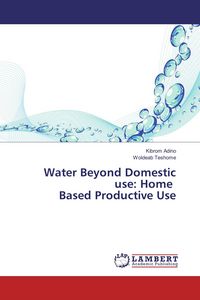 Produktbild: Water Beyond Domestic use: Home Based Productive Use