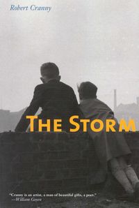 Produktbild: The Storm