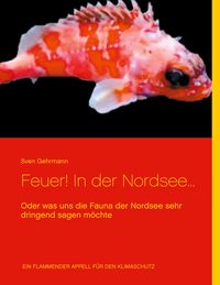 Produktbild: Feuer! In der Nordsee...