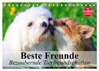 Produktbild: Beste Freunde. Bezaubernde Tierfreundschaften (Tischkalender 2026 DIN A5 quer), CALVENDO Monatskalender