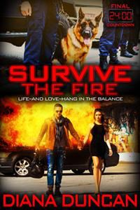 Produktbild: Survive the Fire (24 Hours - Final Countdown, #3)