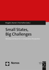 Produktbild: Small States, Big Challenges