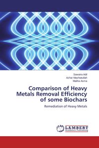 Produktbild: Comparison of Heavy Metals Removal Efficiency of some Biochars