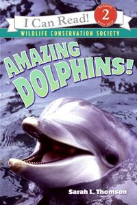 Produktbild: Amazing Dolphins!