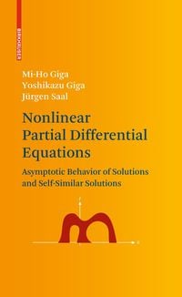 Produktbild: Nonlinear Partial Differential Equations