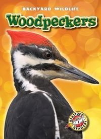 Produktbild: Woodpeckers