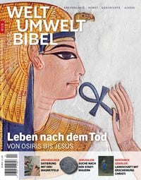 Produktbild: Welt und Umwelt der Bibel / Leben nach dem Tod