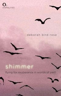 Produktbild: Shimmer