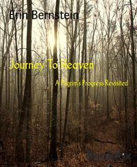 Produktbild: Journey To Heaven