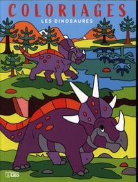 Produktbild: Les dinosaures : coloriages