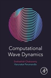 Produktbild: Computational Wave Dynamics