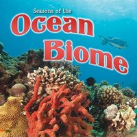 Produktbild: Seasons Of The Ocean Biome