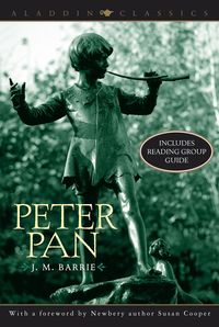 Bild vom Artikel Peter Pan vom Autor James M. Barrie