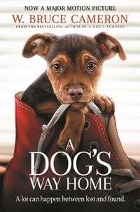 Produktbild: A Dog's Way Home