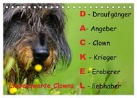 Produktbild: Liebenswerte Clowns (Tischkalender 2026 DIN A5 quer), CALVENDO Monatskalender