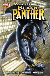 Bild vom Artikel Marvel Knights: Black Panther vom Autor Christopher Priest