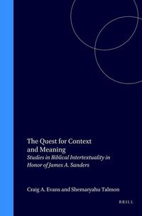 Produktbild: The Quest for Context and Meaning