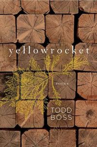 Produktbild: Yellowrocket
