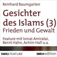 Produktbild: Gesichter des Islams - Frieden und Gewalt